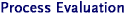 Process Evaluation